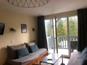 Appartement à Saint Lary Soulan, 4-5 pers, à 150m des télécabines et du village